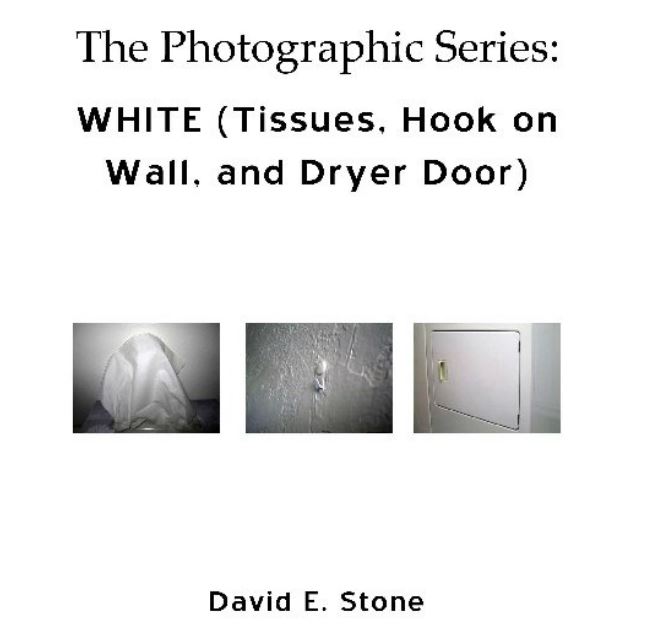 Cover of WHITE_Tissues_Hook on Wall_Dryer Door